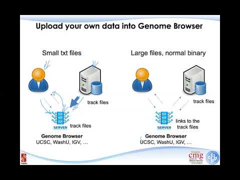 B4B: Module 3 - Visualize your own data using Genome Browser