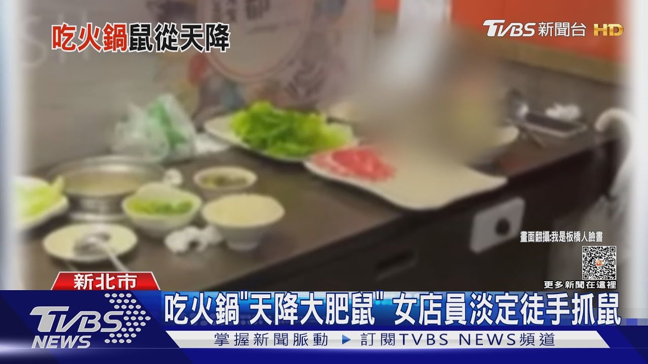 吃火鍋「天降大肥鼠」　女店員淡定徒手抓鼠