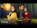 Mohabbat Khawab Safar Episode 11 HUM TV Drama