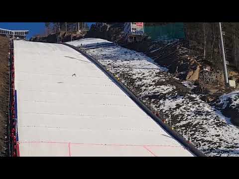 (PB) Timi Zajc (live) 245m Vikersund 2022 (trial round)