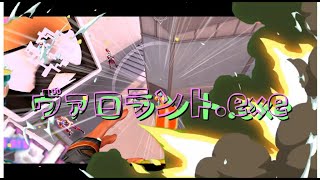 はいてんぽValorant