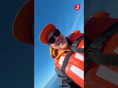 Luego de 100 años, volvieron las ballenas Sei