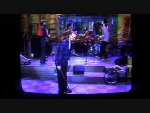the Starvations - Girl of Stone - live on the Gong Show 1998