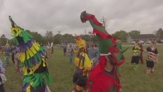 Mamou Mardi Gras 2017