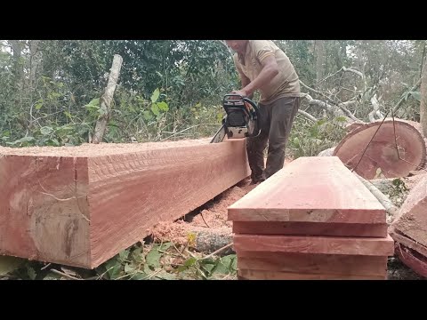 Chainsaw Operator Skills | Make Wooden Board Size 2cm × 24cm × 288cm With Good Result