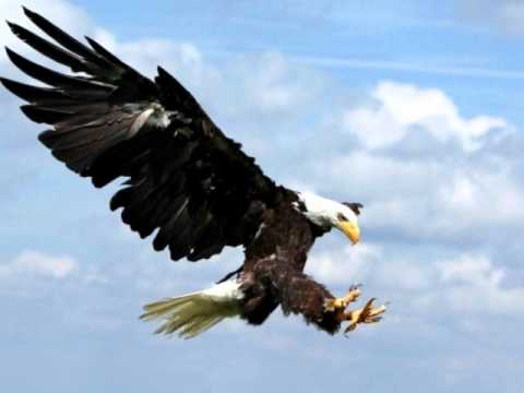 RapStreetBoys - in the sky