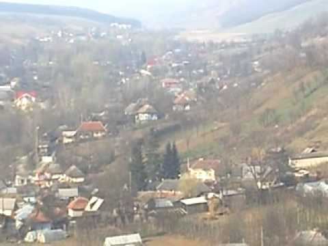 pincesti poiana bacau