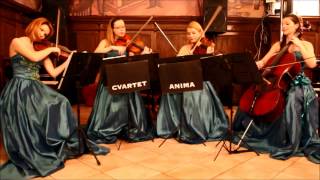 Cvartet Anima - Rasputin