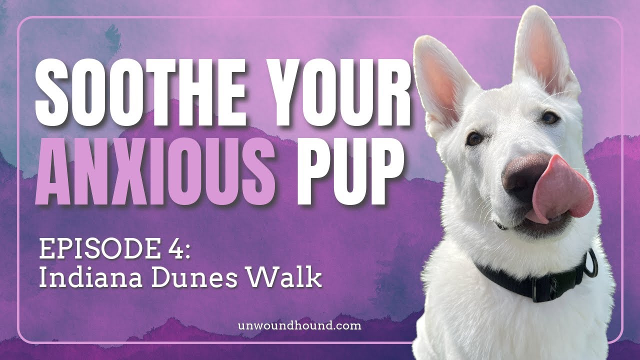 Episode 3: Indiana Dunes National Park