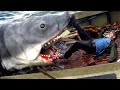 Man VS Shark | JAWS Ending Scene