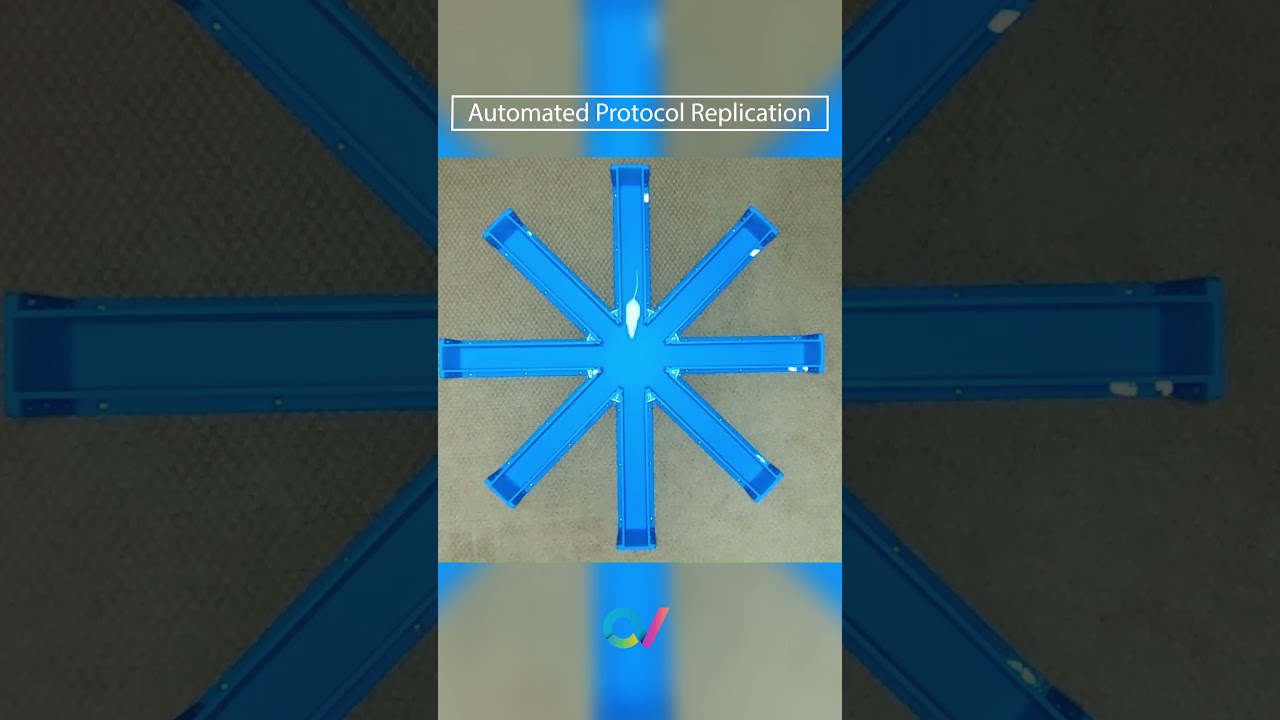 ConductVision: Behavioral Analysis of the Future (V)