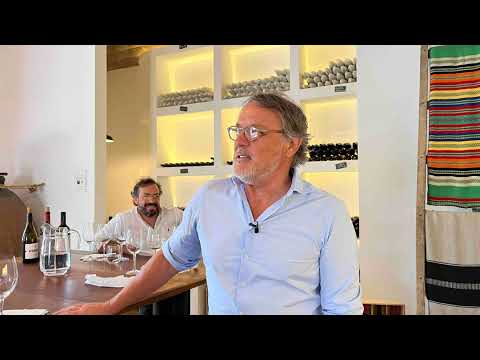 Bonus Episode (8): Mouchão