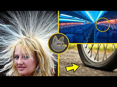 30 Curiosidades Que No Sabías En 10 Minutos | 14