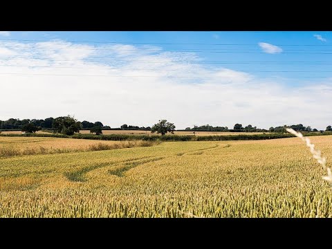 Reinhold Glier - In the fields