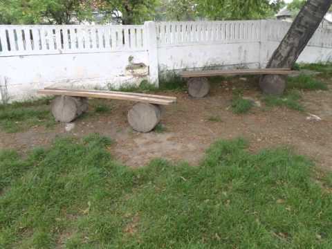 Scoala Urechesti in paragina