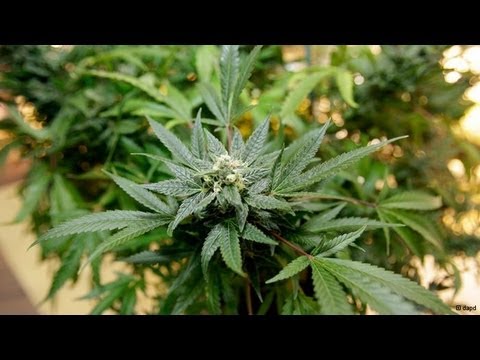 Spain's Regions Battle The Crisis | Journal Reporters