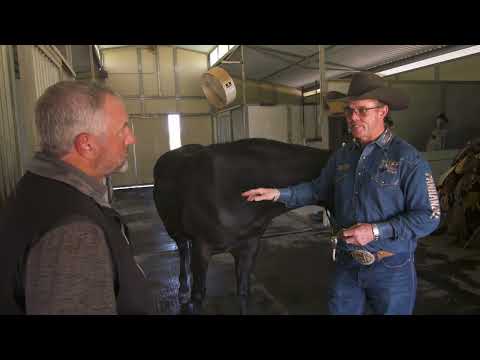 Why Tuff Hedeman's Kids Don't Ride Bulls