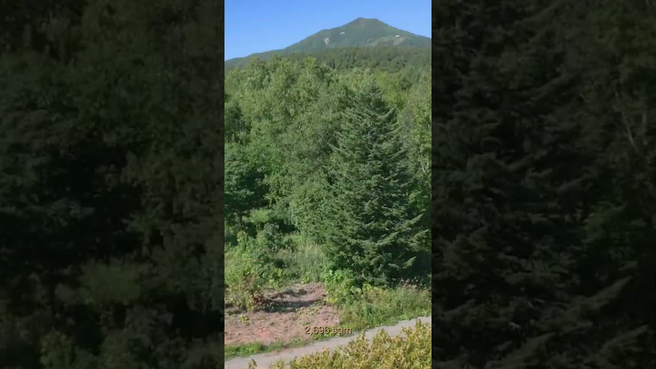 Soga Meadows II: Welcome to your private alpine canvas