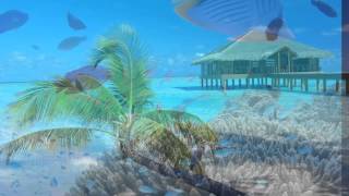 一番好きな海の色 （2009年）  高中正義 / Guitar coverです。