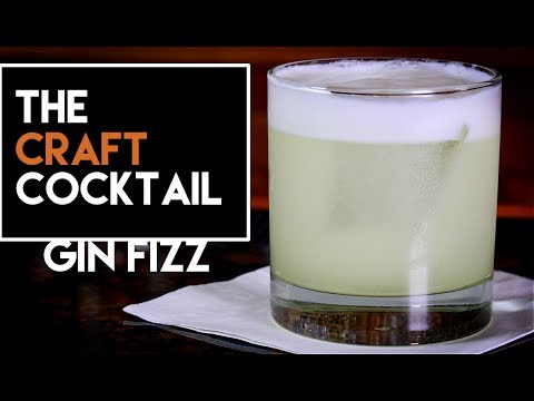 🍋🍋  How To Make a Gin Fizz / Easy Gin Cocktail Series 2