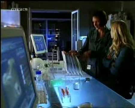 CSI Miami "The old Team"