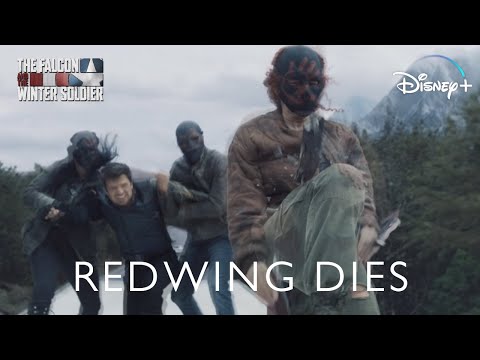 Redwing Dies | 1x02 The Falcon and the Winter Soldier | Marvel Scenes