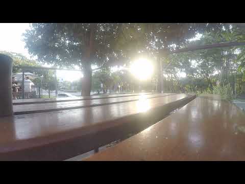 Acompamhando o movimento da Lagoa do Taquaral em Campinas SP