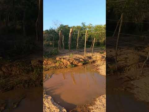 MOSTRANDO UM POUCO DA  NATUZA NO INTERIOR DE PAJEU DO PIAUI