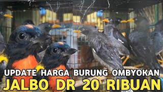 Download lagu EDAN LAGI B'U !! PENTET PALKON 20 RIBU JALBO 20 RIBU TIGA EKOR 60 RIBU DI PASAR BURUNG PRAMUKA mp3 Download lagu EDAN LAGI B'U !! PENTET PALKON 20 RIBU JALBO 20 RIBU TIGA EKOR 60 RIBU DI PASAR BURUNG PRAMUKA mp3