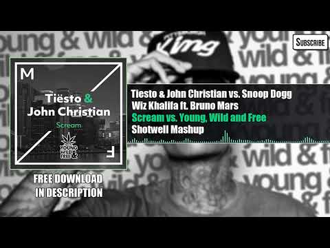 Tiësto & John Christian - Scream vs. Young, Wild and Free (Shotwell Mashup)