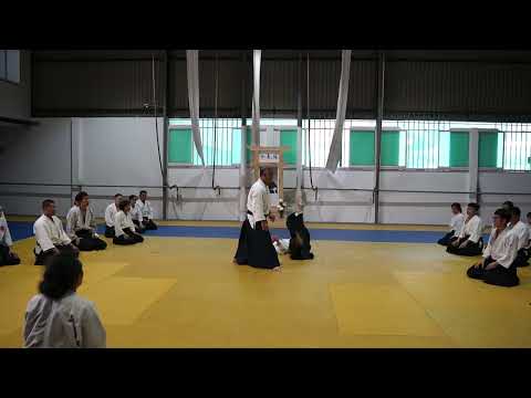 2023 HAF Aikido Seminar - Shihan Etsuji Horii - Ai hanmi katate dori kokyu nage 2