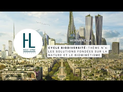 Cycle sur la biodiversité : Thème n°6 - Les solutions fondées sur la nature et le biomimétisme