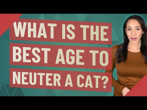 What is the best age to neuter a cat?