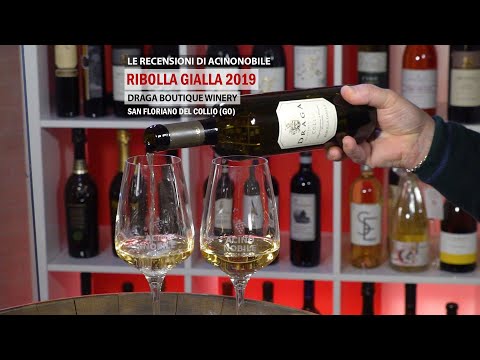🍇🎅🏻 RIBOLLA GIALLA 2019 | DRAGA BOUTIQUE WINERY
