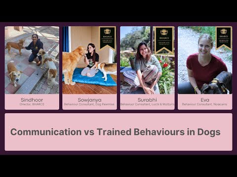 What's the REAL Difference Between Communication and Trained Behaviors in Dogs?