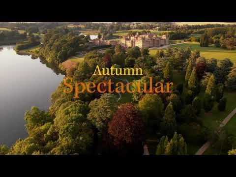 Autumn Spectacular at Blenheim Palace