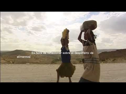 Juntos contra el despilfarro