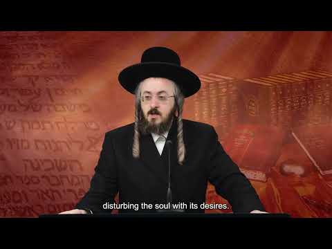 רגע קדוש מהאור החיים - פרשת כי תבא יום ג'