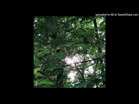 [FREE] Lil Peep x fish narc Type Beat - tiden (prod sheoda)