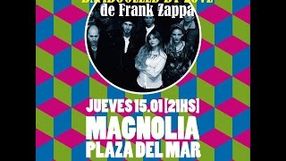Magnolia "Bamboozled by Love" de Frank Zappa