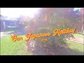 Our Japanese Holiday