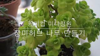 장미허브 나무모양 예쁘게 만드는 방법