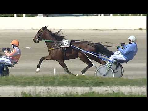 Napoli Trotto 10/04/2023 - 2ª corsa