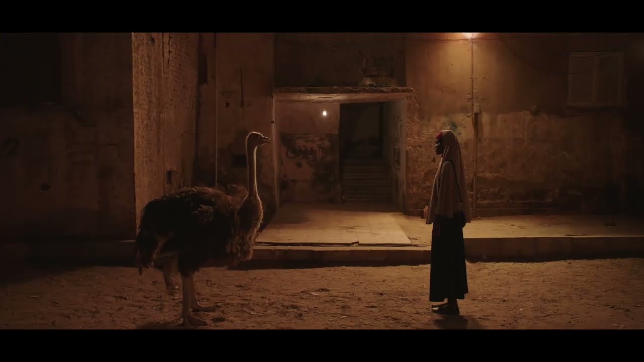 Miniature de la vidéo Aisha Can't Fly Away Trailer - African Film Festival Atlanta (AFFATL) 2026 du film Aisha ne peut plus s'envoler