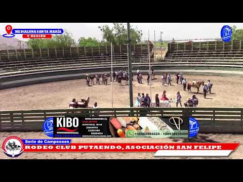 Rodeo oficial Club Putaendo FEROCHI