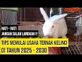 IF I AM A BEGINNER AND WANT TO START A RABBIT BREEDING BUSINESS IN 2025 2030 Rabbit Arnab