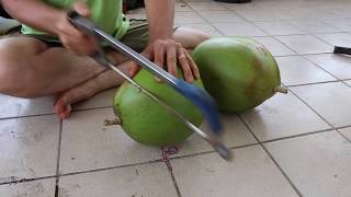 Cutting and Cleaning a Calabash Gourd
