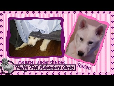 There's a Monster Under the Bed!!!