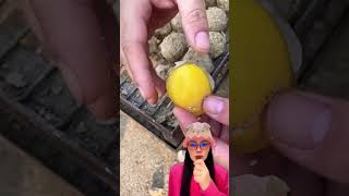 Download lagu Is that an egg or a squishy? ⁉️ @E@EggsLon_89 mp3