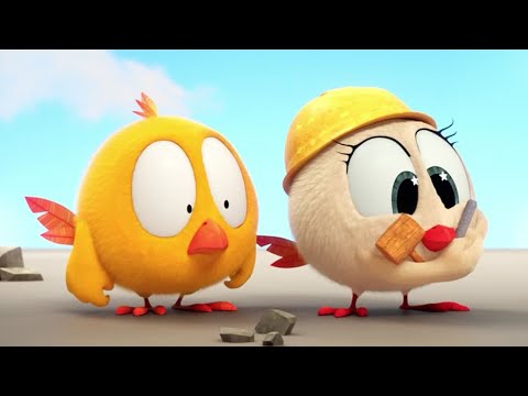 Little Builders | Where's Chicky? | Cartoon Collection in English for Kids | New episodes